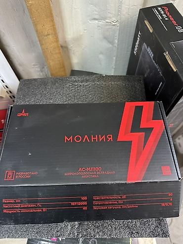 Широкополосная эстрадная акустика Молния AC-ML100 Основные