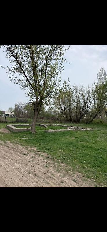 в г ош: 9 соток, Для строительства, Красная книга, Договор купли-продажи — 2