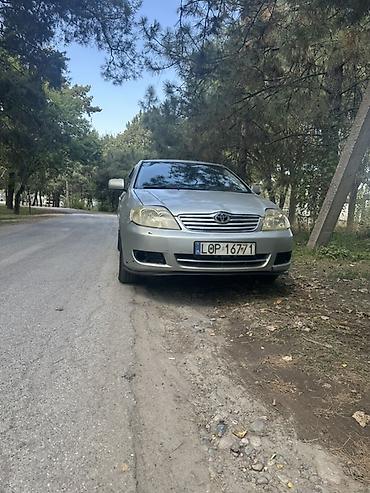 windom 2001: Toyota Corolla: 2005 г., 1.6 л, Автомат, Седан — 2