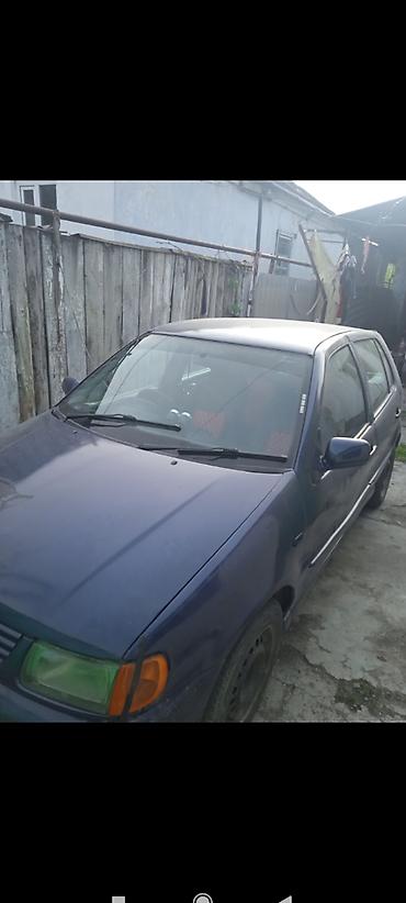 Volkswagen: Volkswagen Polo: 1999 г., 1.5 л, Автомат, Бензин, Хэтчбэк — 3