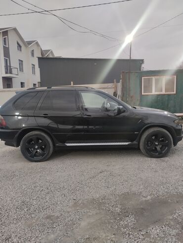 BMW: BMW X5: 2004 г., 4.4 л, Автомат, Бензин, Внедорожник — 15
