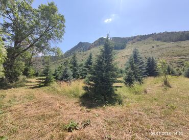 Продажа участков: 255 соток, Для сельского хозяйства — 5