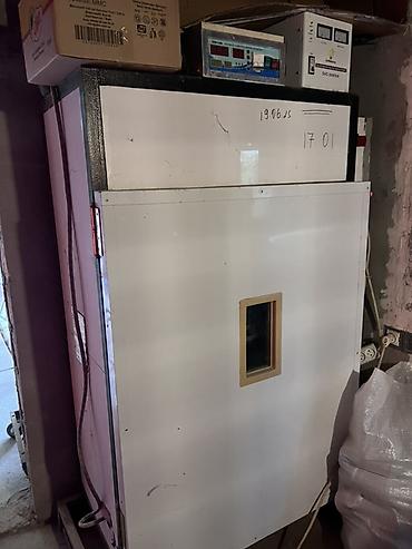 Kənd təssərüfatı avadanlığı: Quşçuluq avadanlıqları paketi 1056yumurtalıq inkibator xüsusi — 1