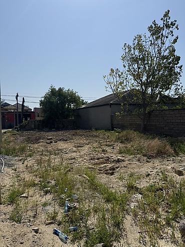 3 sot torpaq: 3 sot, Tikinti, Mülkiyyətçi, Kupça (Çıxarış) — 4