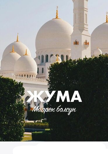 оборудование для шелкографии бишкек: Требуется торговый агент город Бишкек срочно