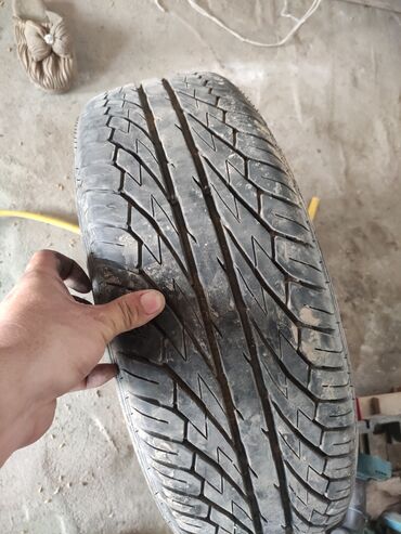 205 65 16 с: Шины 205 / 60 / R 16, 1 шт, Легковые, Dunlop