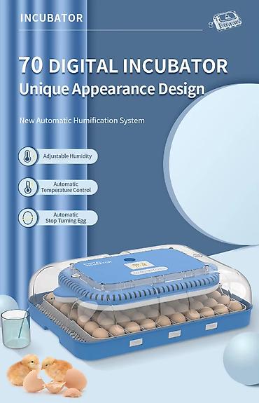 ручной инкубатор: Инкубатор для яиц с автоматическим управлением и LED-просветкой 70яиц — 6