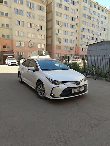 ленд круизер прадо: Toyota Corolla: 2019 г., 1.8 л, Вариатор, Гибрид, Седан — 1
