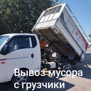 кара балта животные: Вывоз мусора Вывоз мусора Вывоз мусора Вывоз мусора Вывоз мусора
