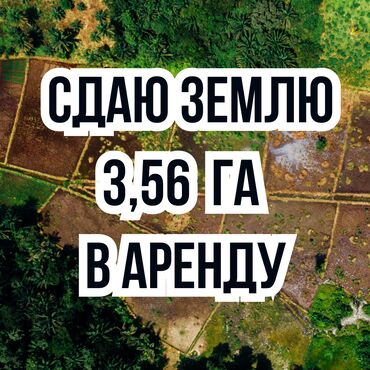 сдаю в аренду помешение: 356 соток Для сельского хозяйства