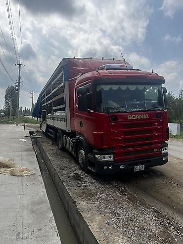 скания тигач: Тягач, Scania, 2003 г. — 6
