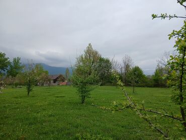 xacmaz torpaq sahesi satilir: 23 sot, Biznes üçün, Barter mümkündür, Kupça (Çıxarış)