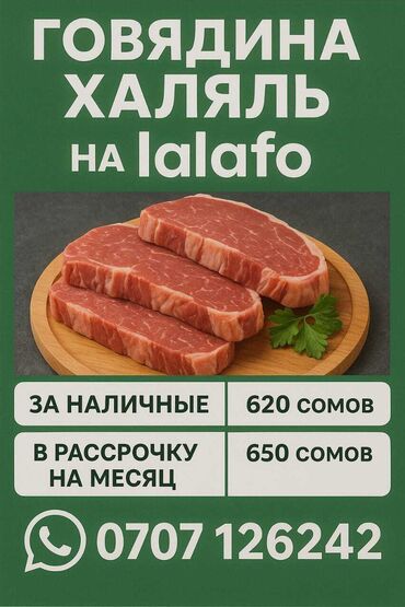 шаурма помещение: Говядина : Более 10 кг, Стейк