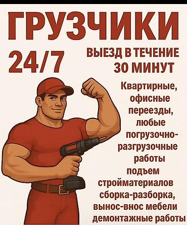 Грузчик. Больше 6 лет опыта