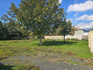 pirşaği torpaq: 750 sot, Tikinti, Mülkiyyətçi, Kupça (Çıxarış) — 3