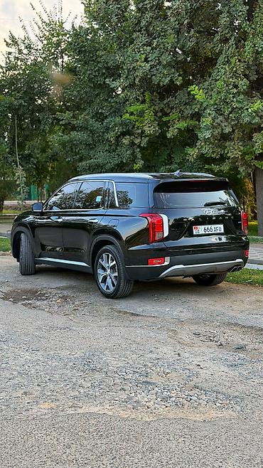 виниловая пленка на авто: Hyundai Palisade: 2020 г., 2.2 л, Автомат, Дизель, Внедорожник — 3