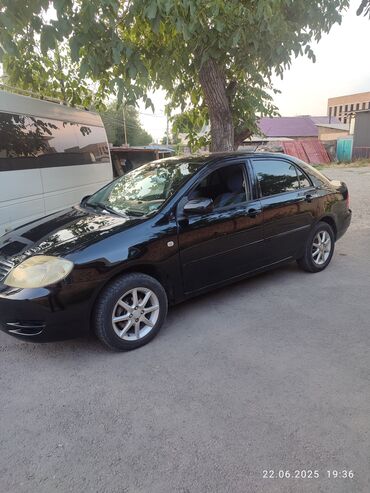 runx alex: Toyota Corolla: 2005 г., 1.6 л, Механика, Бензин, Седан lalafo.kg да runx alex: Toyota Corolla: 2005 г., 1.6 л, Механика, Бензин, Седан