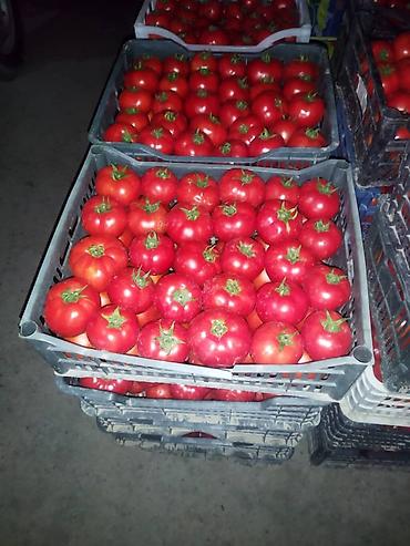 Ящики: Ящик — 16