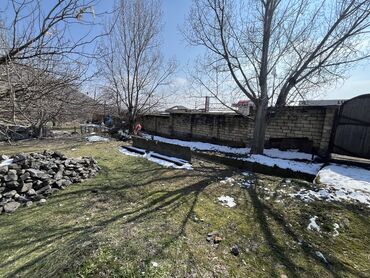 Torpaq sahələrinin satışı: 12 sot, Kənd təsərrüfatı, Mülkiyyətçi, Kupça (Çıxarış) — 7