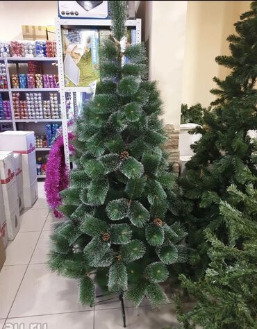 Yeni il ağacları: Yolka Yolka satisi teze mallar endirimde Yeni il agaci 7 man 60 sm 15 — 8