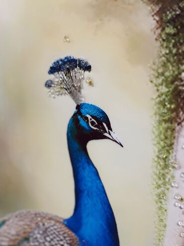 Şəkillər, tablolar: Üzəri epoksid boya ilə örtülmüş, canlı və parlaq görünüşə sahib olan — 10