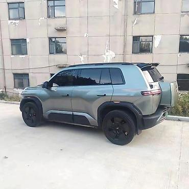 beta ff: BYD FangChengBao Leopard 3: 2025 г. — 2