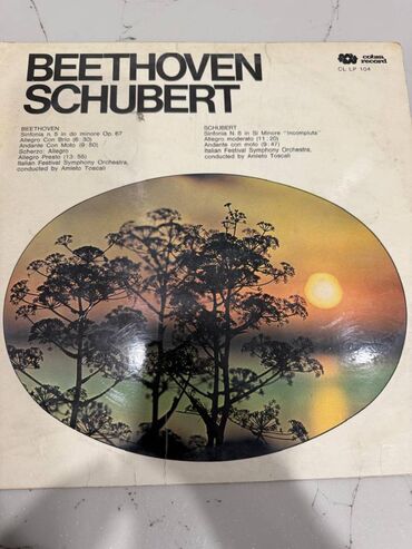 Digər kolleksiyalar: Beethoven ve Schubertin sinfonialari movcud vinil