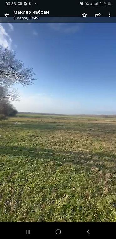 qəbələ rayonu: 54 sot, Kənd təsərrüfatı, Maklerlər narahat etməsin, Kupça (Çıxarış) — 2