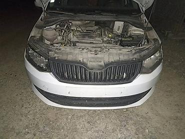 mabosol legio ac: HAUNA BRANIK D. VRATA ZA ŠKODA FABIA OD 2015. DO 2019. GOD. | SKODA — 2