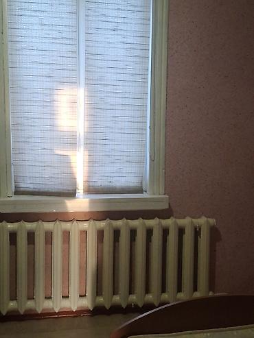 Другие фруктовые и ягодные растения: Продаётся уютный дом на Иссык- Куле в селе Ананьево. 2 спальни — 6