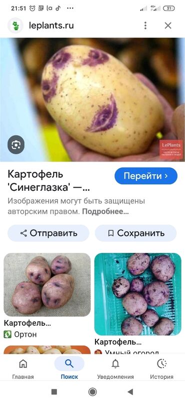 газ баллон бишкек доставка: Картошка