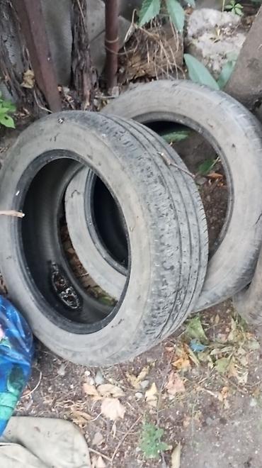 Шины: Продам at lalafo.kg — 30 Шины: Продам — 30