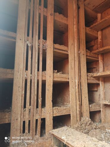 Yuvalar: Quşxana Satlır 30 cüt xana — 8