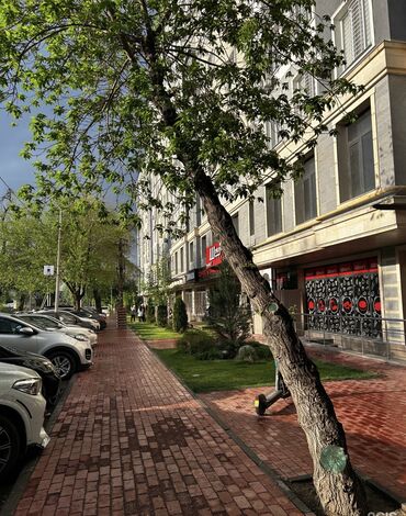 Продажа квартир: 2 комнаты, 64 м², Элитка, 5 этаж, Евроремонт — 12