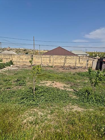 Torpaq: 4 sot, Tikinti, Kupça (Çıxarış) — 7