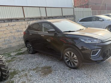 Weltmeister: Weltmeister EX5, 2022 г., 54721 км — 7