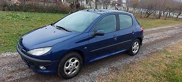 reno ducato: VRATA TEGET PLAVA ZA PEUGEOT 206 | Teget plava vrata za peugeot 206 — 1