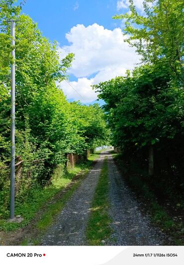 7 ve 8 mkr satilan evler: 12 sot, Tikinti, Mülkiyyətçi, Kupça (Çıxarış)