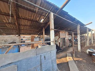 Продажа участков: 9 соток, Красная книга — 2