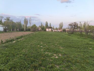 продаю участок совхоз ала тоо: 2 соток, Для сельского хозяйства, Красная книга
