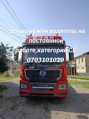 leone: Требуется Водитель грузового транспорта, Категория прав (C1), На тягач — 1