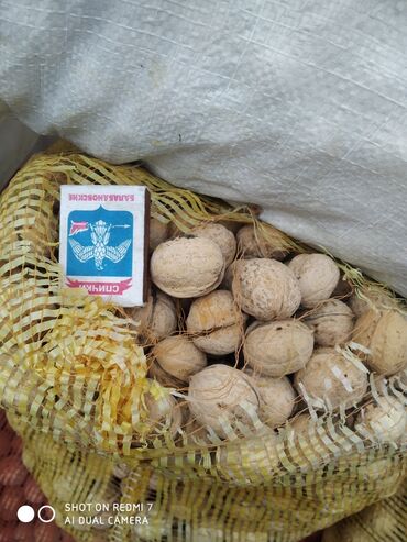 сколько стоит грецкий орех в кыргызстане: Продам грецкие орехи