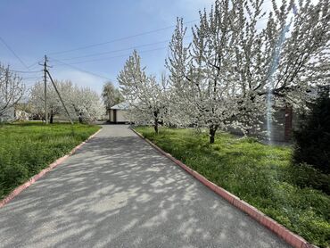 Посуточная аренда комнат: 222 м² — 3