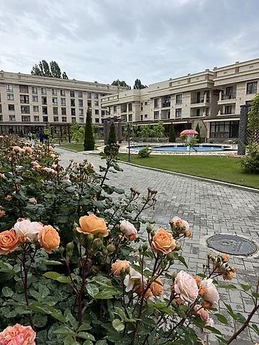 Батирлерди ижарага берүү: Срочно сдаю квартиру студию на Иссыкуле в ЦО «Радуга» в современном — 8