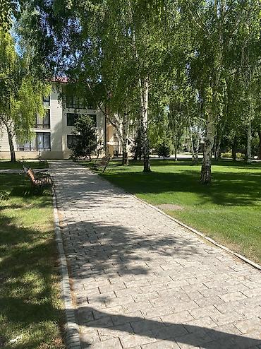 Продажа квартир: 3 комнаты, 50 м², Евроремонт — 17