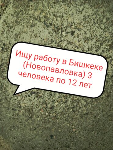 Другие специальности: 1000 сом в день можно хорошо работаем (убирать дом,быть