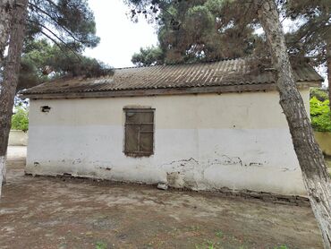 Bağ evlərinin satışı: 1 mərtəbəli köhnə tipli kiçik ev/bağ evi - Plan: iki tərəfdə — 4