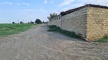 nizami r: 3 otaqlı, 120 kv. m, Kredit yoxdur, Orta təmir — 10
