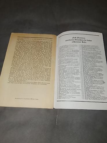 Другие книги и журналы: 🦅 H****r Gəncliyinin Nadir Tapıntısı: "H****r-Jugend Regensburg" — 4