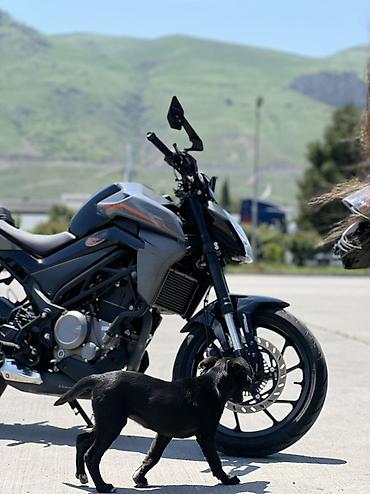 cfmoto az: - NK 250, 250 sm3, 14650 km — 8